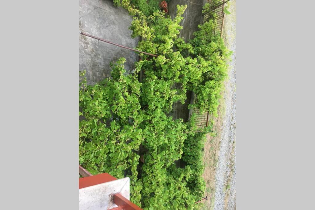 Eva Apartment With Great View 埃帕诺米 外观 照片